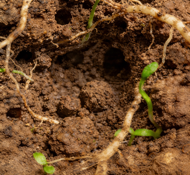 土壤養(yǎng)分速測儀