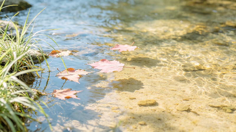 畜牧養(yǎng)殖、石油化工、水產(chǎn)養(yǎng)殖推薦選用！便攜式快速水質(zhì)檢測儀靠譜之選