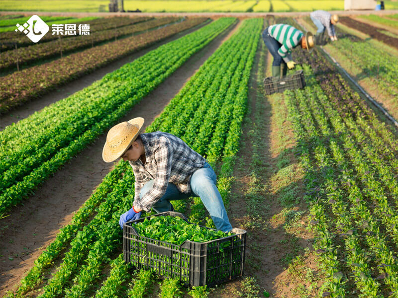 種植大戶選科研級土壤肥料有機(jī)質(zhì)檢測儀 實用選購指南